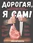 Дорогая,я сам! Книга мужских рецептов трижды холостяка и гуру барбекю — 2868931 — 1