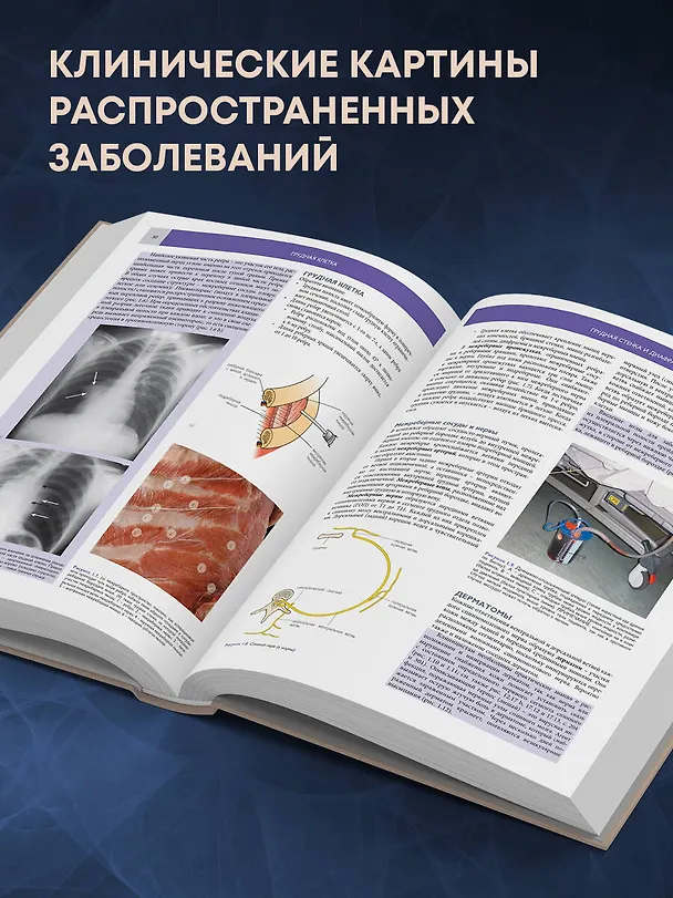 Книга Основы клинической анатомии. Иллюстрированный атлас нозологий и патологий (Джон Ламли, Джон Крейвен, Ричард Танстэлл) — 8