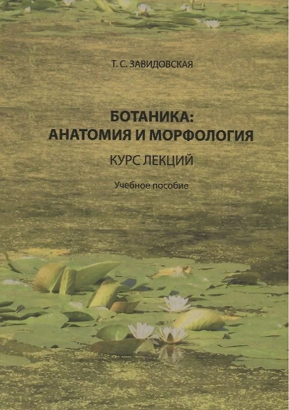 Книга Ботаника анатомия и морфология Курс лекций Уч. пос. (Завидовская) () — 1