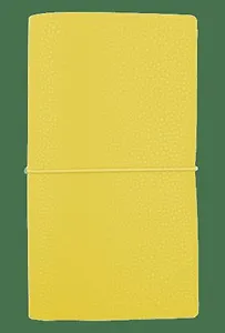 Записная книжка, InFolio/Инфолио, 12х21см, 128стр., Palette суперобложка с резинкой, желтый