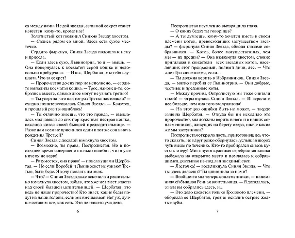 Книга Четвертый оруженосец (Эрин Хантер) — 3