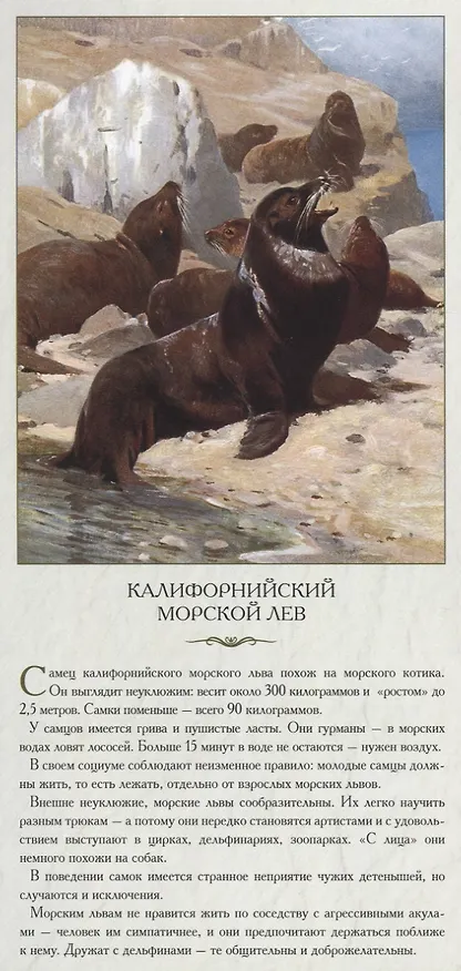 Книга Животный мир Северной Америки. Обычные, но ни на кого не похожие () — 3
