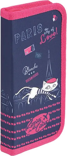 Пенал одностворчатый прямоугольный Proff Kitties in the Cities 19,5*9см на молнии, без наполнения 325355 — 1