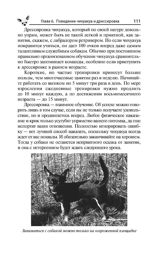Книга Чихуахуа. Любимцы на ладони (Тэмми Джэн) — 3