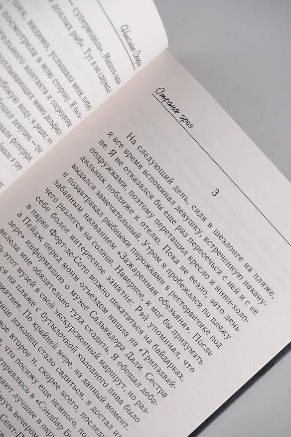 Книга Страна грез (Николас Спаркс) — 11