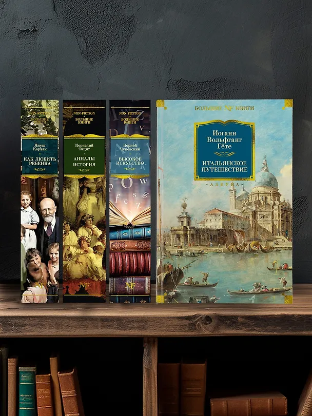 Книга Итальянское путешествие (Иоганн Вольфганг Гёте) — 7