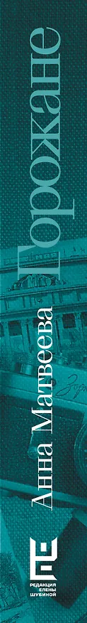 Книга Горожане. Удивительные истории из жизни людей города Е. (Анна Матвеева) — 3