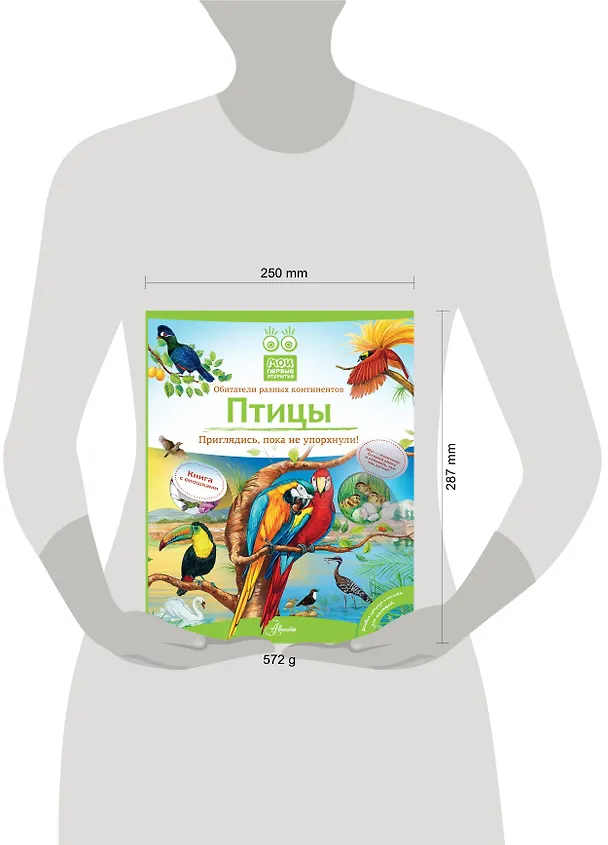 Книга Кн.с Окошками.МПО.Птицы (Владимир Бабенко) — 4