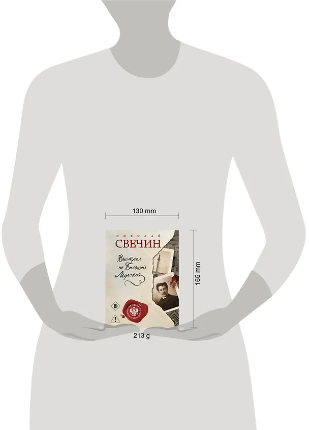 Книга Выстрел на Большой Морской (Николай Свечин) — 5