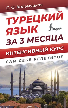 Турецкий язык за 3 месяца. Интенсивный курс — 2943161 — 1