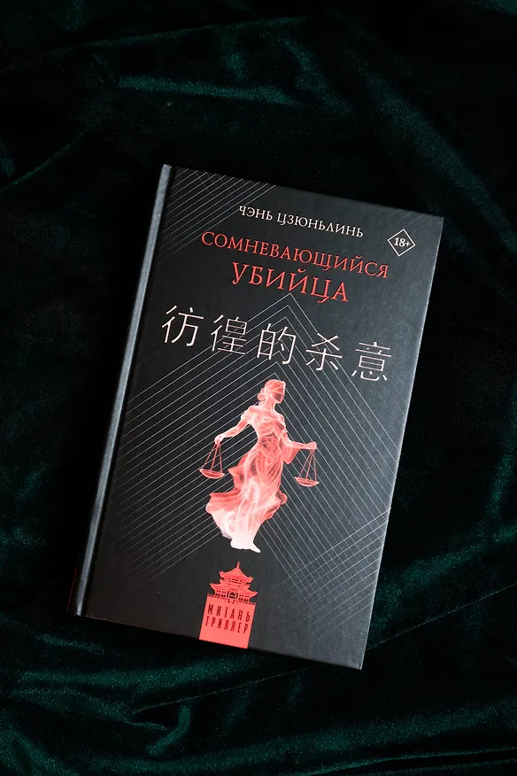 Книга Сомневающийся убийца (Цзюньлинь Чэнь) — 13