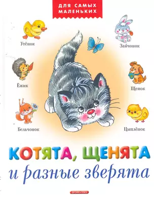 Котята, щенята и разные зверята (ДСМ) — 2257487 — 1