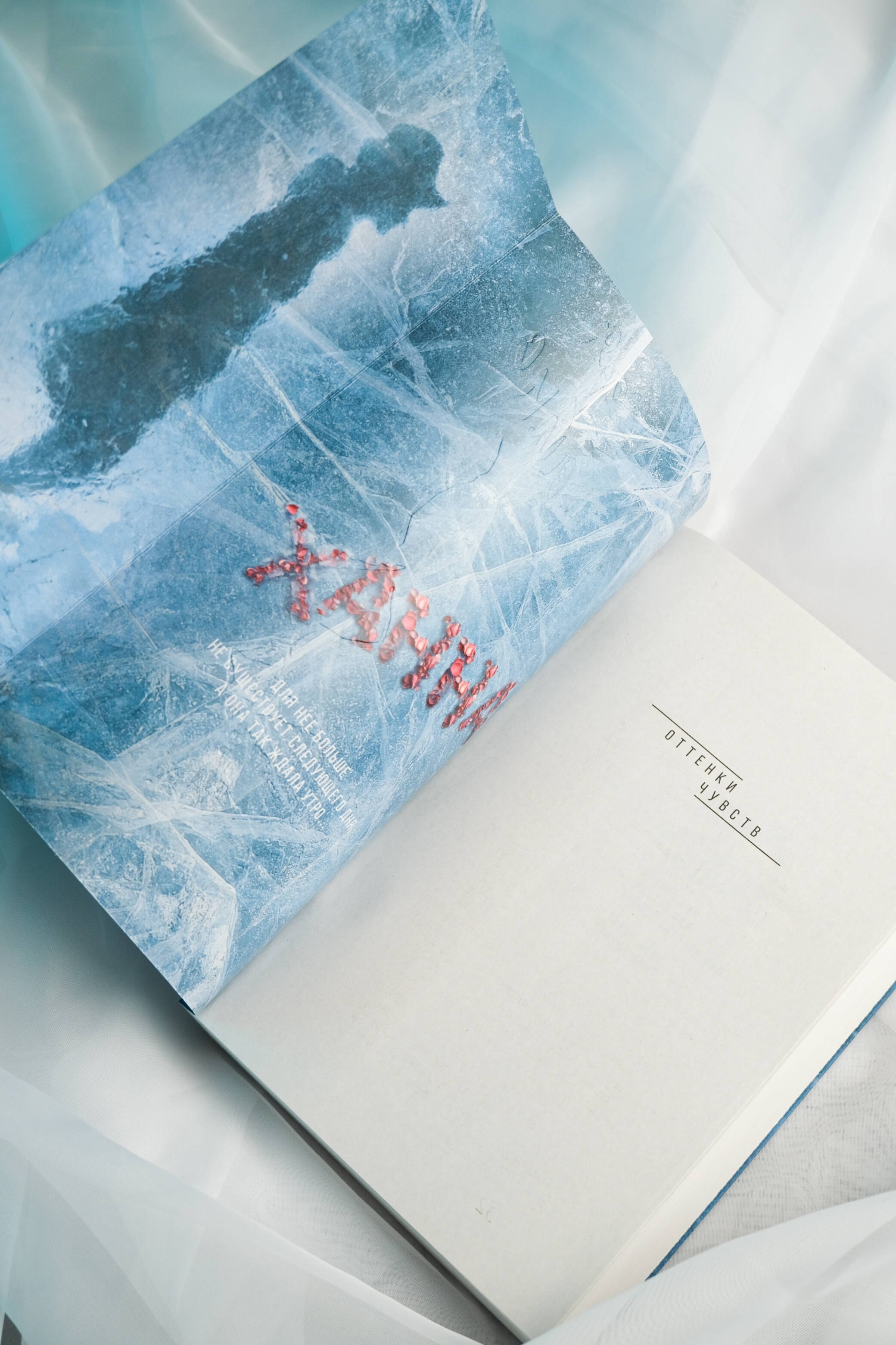 Изображение бумажной книги