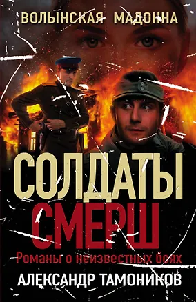 Книга Волынская мадонна (Александр Тамоников)