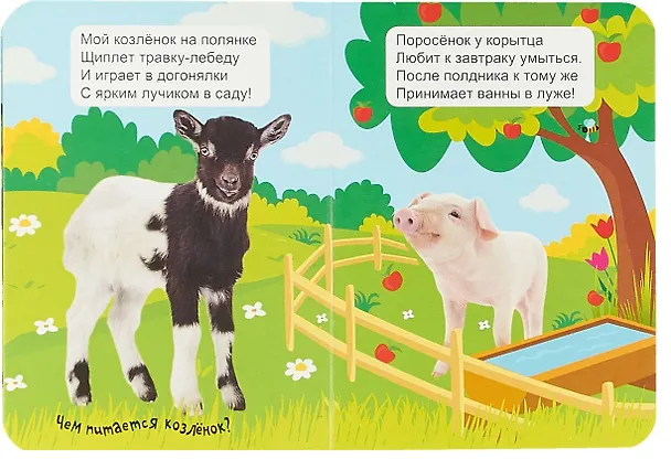 Книга ЦК МИНИ. ДОМАШНИЕ ЖИВОТНЫЕ () — 2