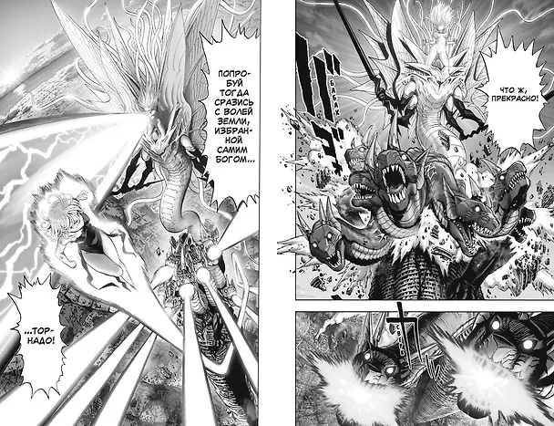 Ванпанчмен. Книга 14 (Том 27, 28) - Вся мощь Торнадо. В бездну. (One Punch-Man). Манга 3013270 — 10