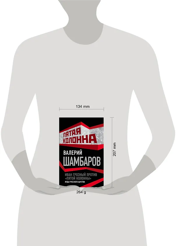 Книга Иван Грозный против "пятой колонны". Иуды русского царства (Валерий Шамбаров) — 5