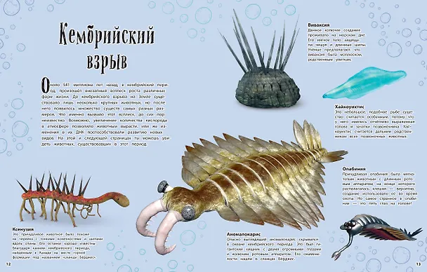 Книга Динозавры и другие доисторические животные. Энциклопедия (Анусия Чинсами-Тюран) — 7