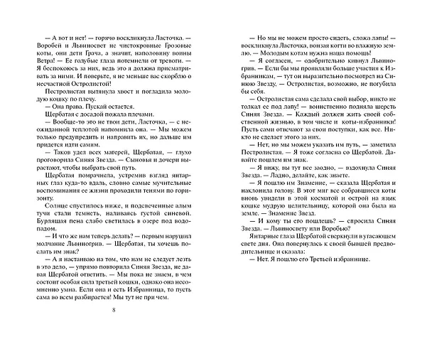 Книга Четвертый оруженосец (Эрин Хантер) — 4