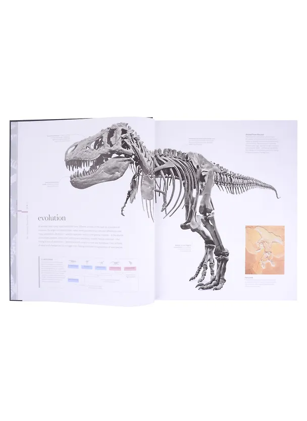 Книга The Science of Animals (Chris Packham) — 5