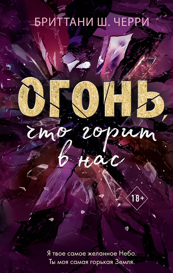 Книга Огонь, что горит в нас (Бриттани Ш. Черри) — 1