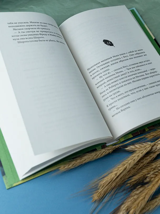 Книга Дикие куры и счастье на земле. Книга 4 (Корнелия Функе) — 11