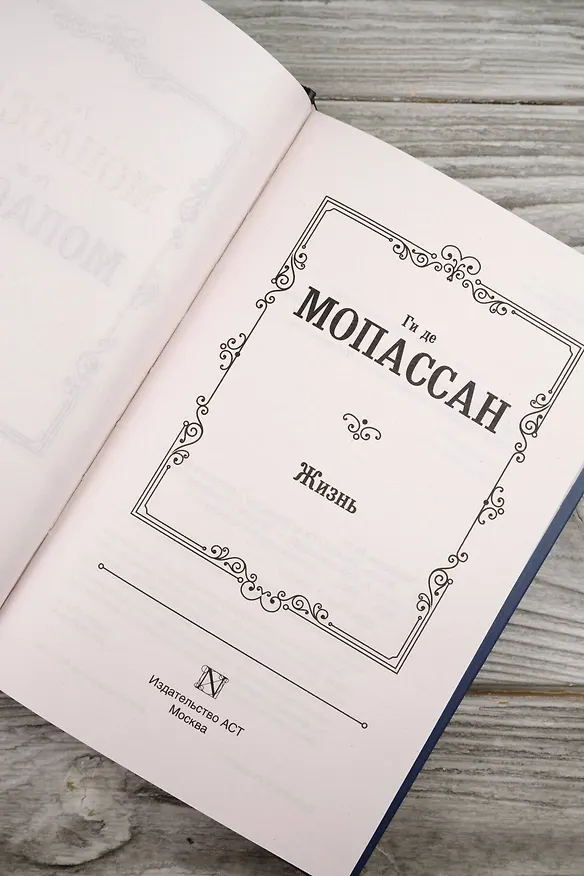 Книга Жизнь (Ги де Мопассан) — 9