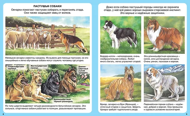 Книга Домашние питомцы (Патриция Рени) — 4