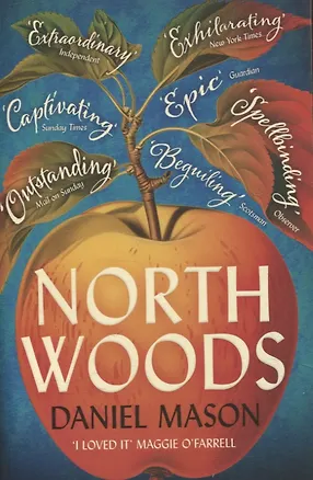 Книга North Woods (Daniel Mason)