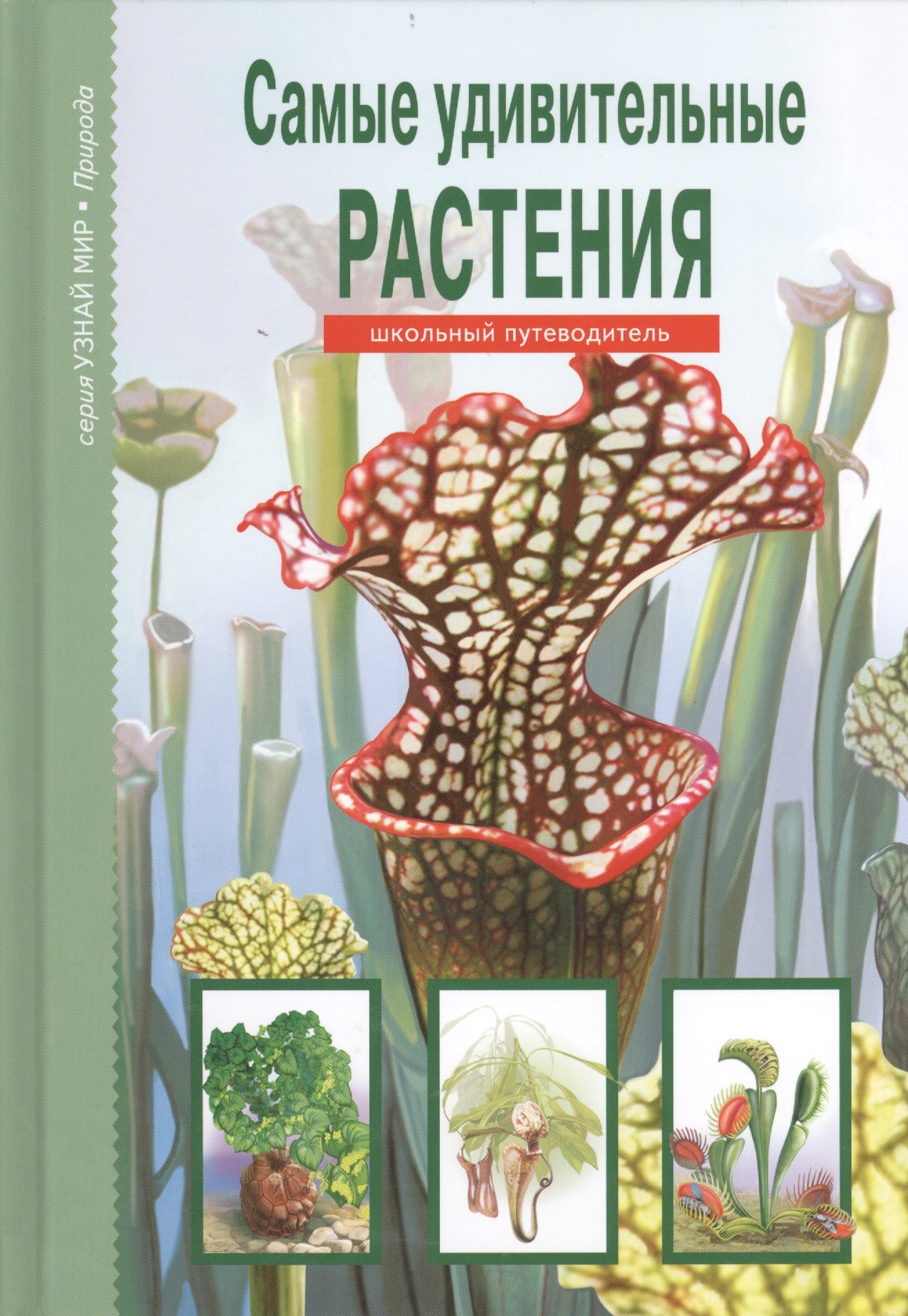 

Самые удивительные растения.