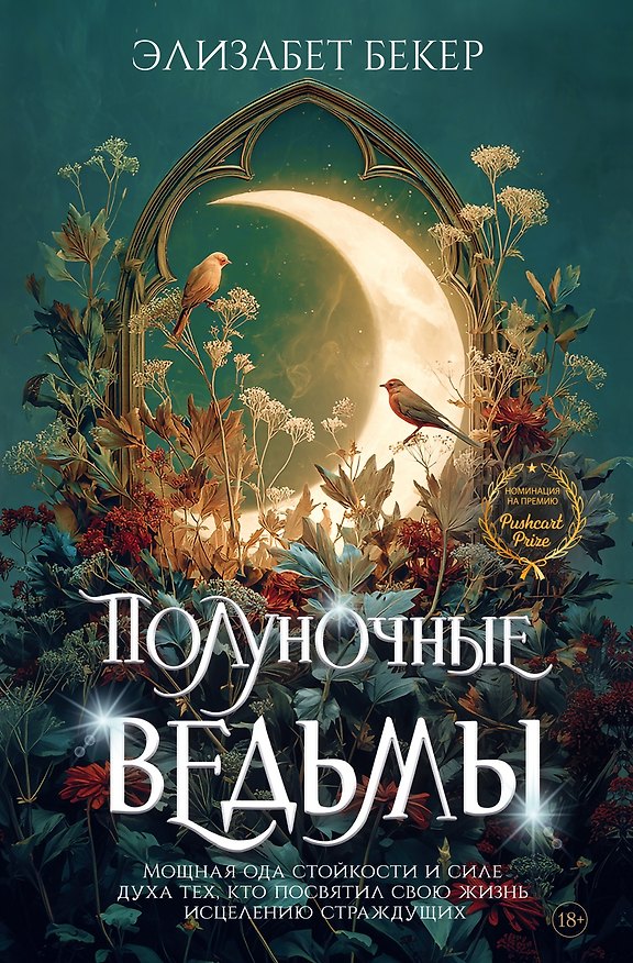 Книга Полуночные ведьмы (Элизабет Бекер) — 1