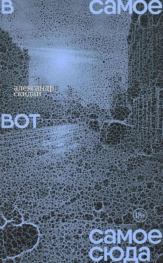 Книга В самое вот самое сюда: Стихи 2020–2023 (Александр Скидан) — 1