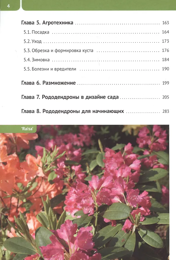 Книга Рододендроны для Северо-Запада () — 3