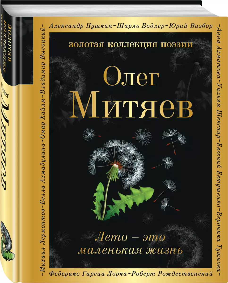 Лето - это маленькая жизнь (Олег Митяев) - купить книгу с доставкой в  интернет-магазине «Читай-город». ISBN: 978-5-04-154112-5