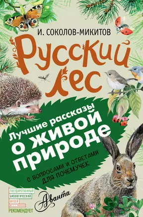 Русский лес — 2556854 — 1