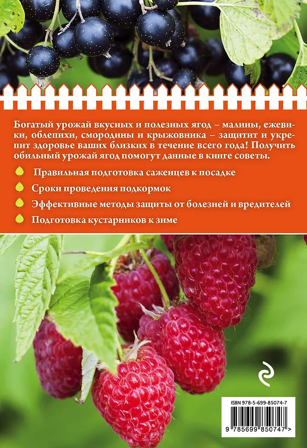Книга Полезные ягоды. Секреты сверхурожая () — 2