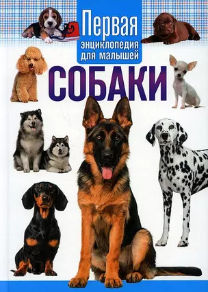 Собаки. Первая энциклопедия для малышей — 2901467 — 1