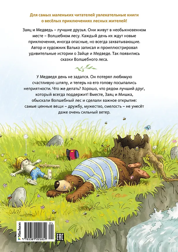 Книга Пропавшая шляпа (Вальтер Кёсслер Валько) — 2