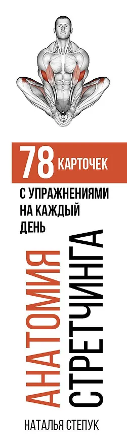 Книга Анатомия стретчинга. 78 карточек с упражнениями на каждый день. (Наталья Степук) — 3