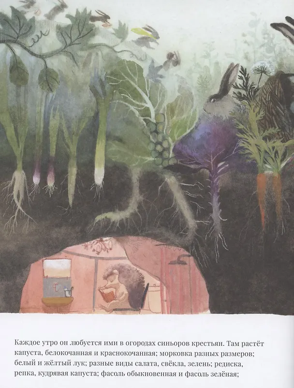 Книга Суп синьора Лепрона (Джованна Дзоболи) — 3