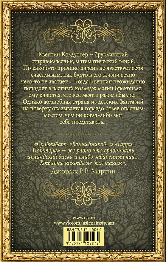 Книга Волшебники (Лев Гроссман) — 2