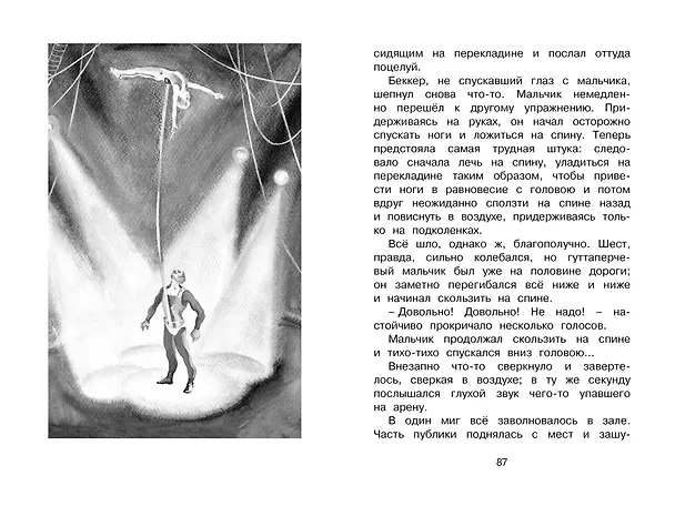 Книга Гуттаперчевый мальчик (Дмитрий Григорович) — 14