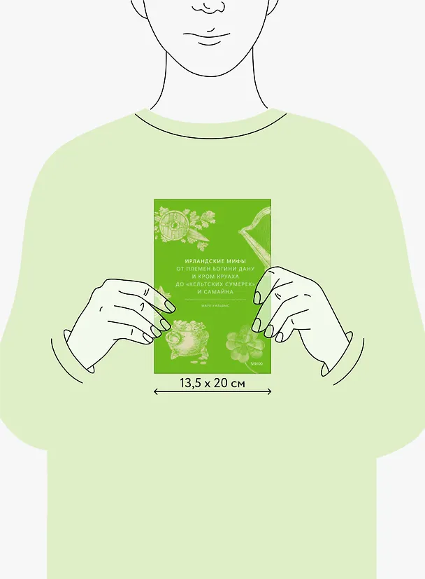 Книга Ирландские мифы. От Племен Богини Дану и Кром Круаха до «кельтских сумерек» и Самайна (Марк Уильямс) — 16