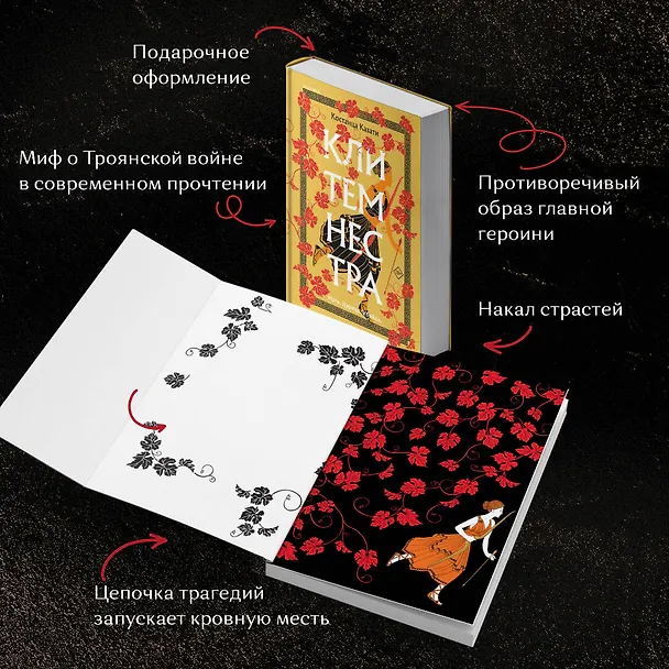 Книга Клитемнестра (Костанца Казати) — 6