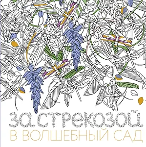 За стрекозой в волшебный сад