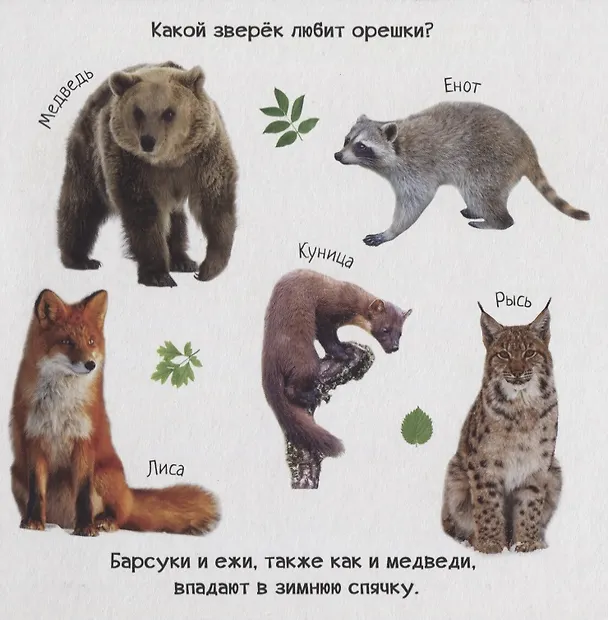 Книга Знакомство с животным миром () — 5