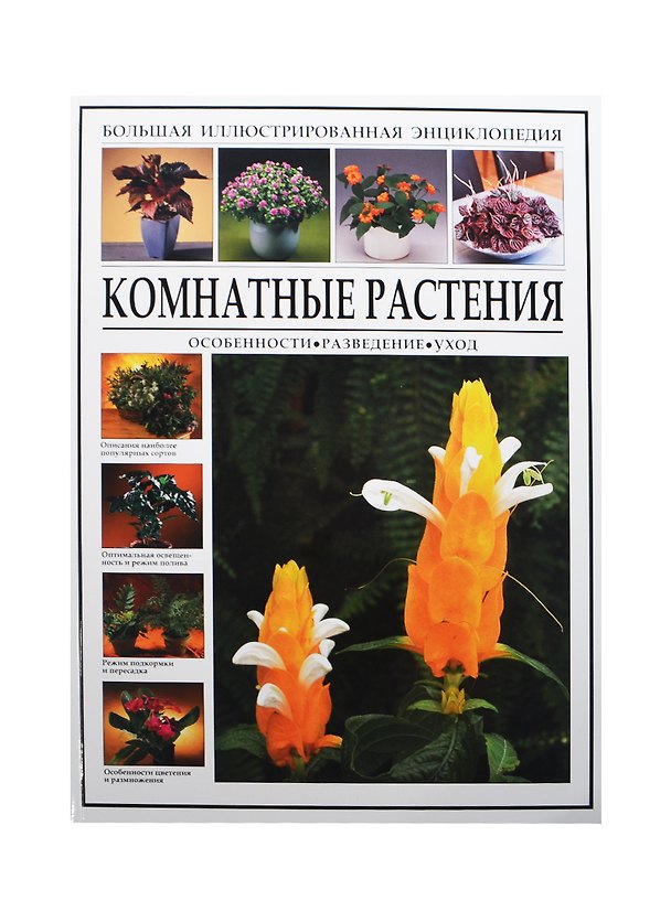 Книга Большая иллюстрированная энциклопедия. Комнатные растения. Особенности, разведение, уход () — 1