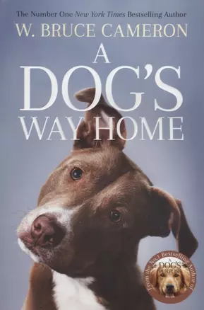 A Dog's Way Home — 2633846 — 1