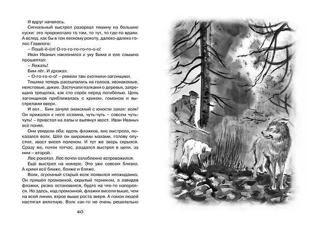 Книга Белый Бим Чёрное ухо (Гавриил Троепольский) — 12