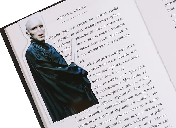 Гарри Поттер Фигурная магнитная закладка Волан-де-Морт 2609210 — 2